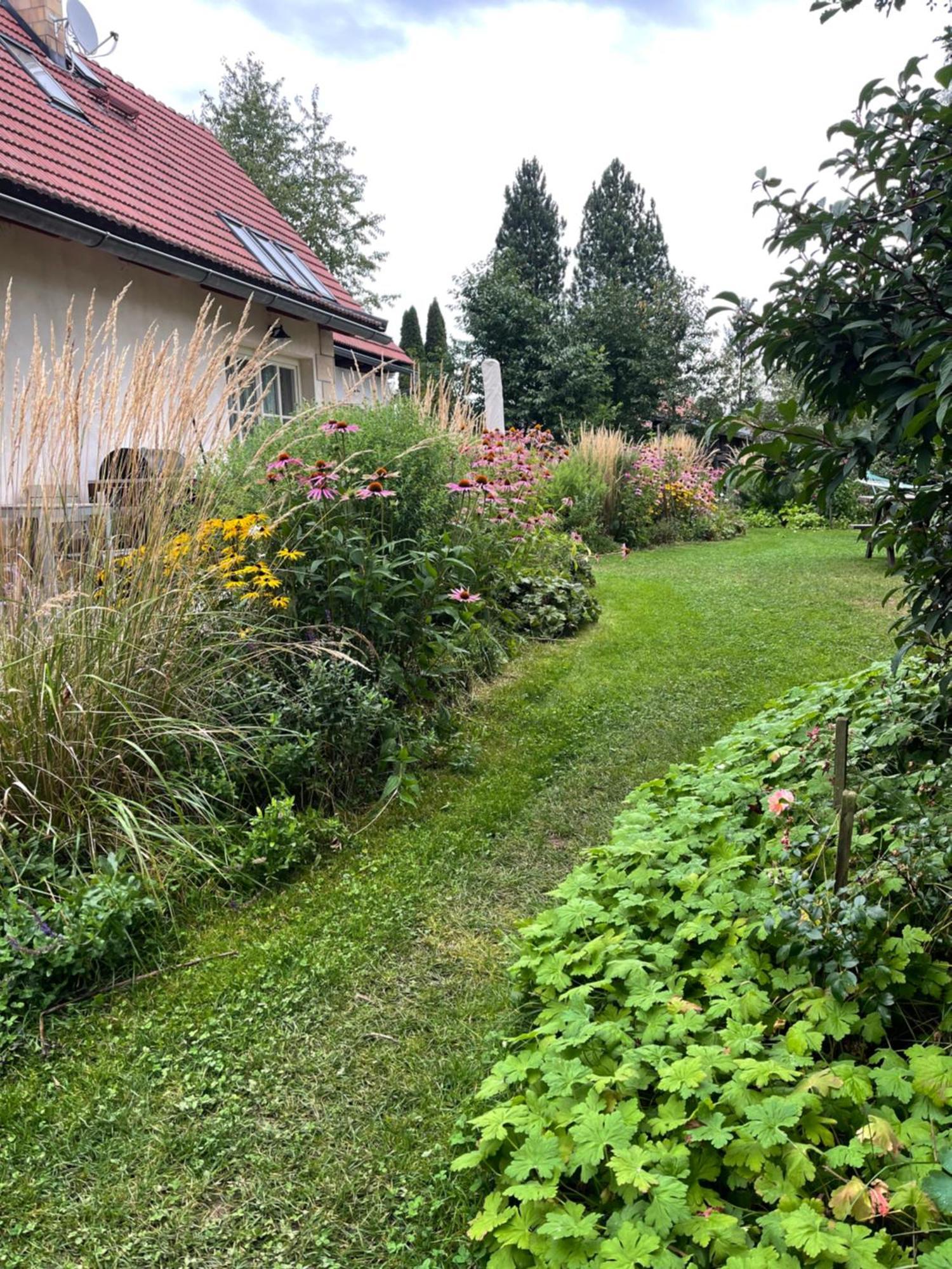 Vila Chalupa u Broumovských stěn Božanov Exteriér fotografie