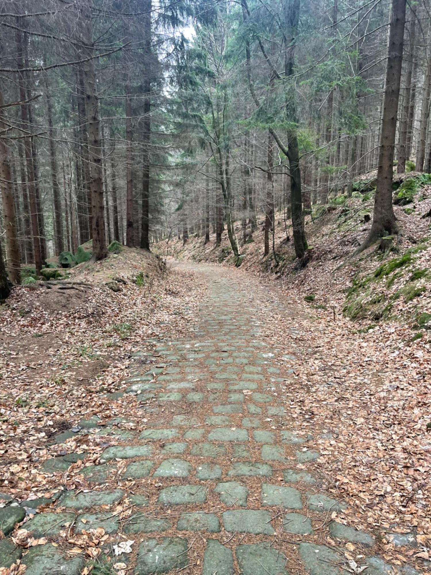 Vila Chalupa u Broumovských stěn Božanov Exteriér fotografie