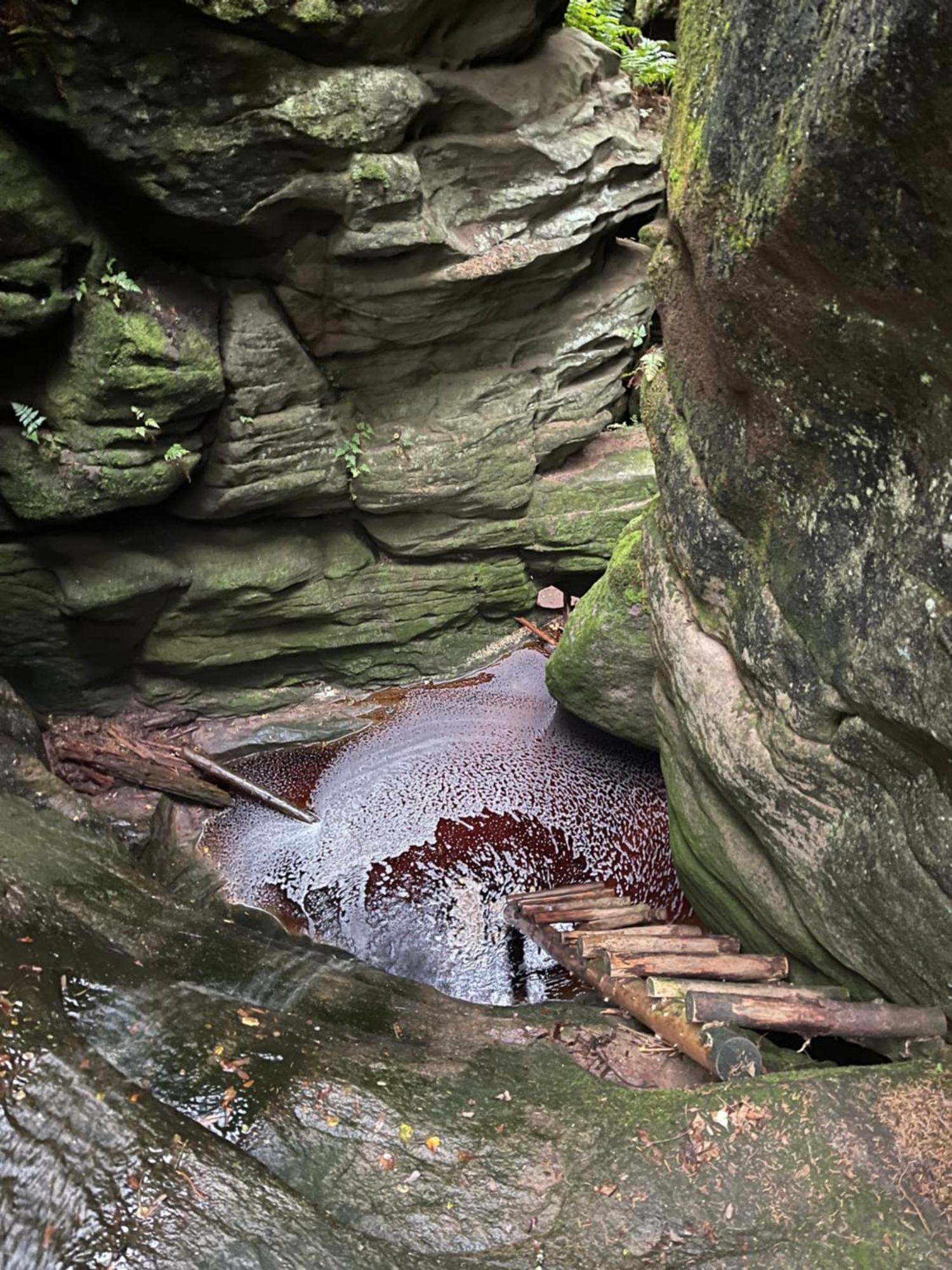 Vila Chalupa u Broumovských stěn Božanov Exteriér fotografie