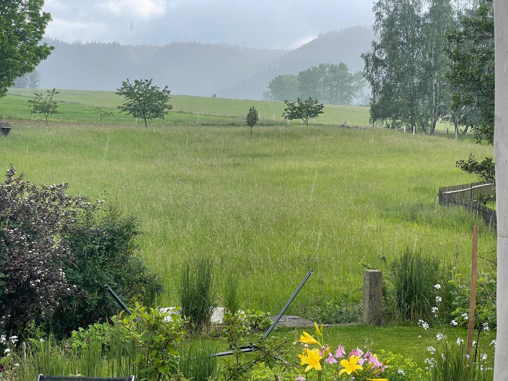 Vila Chalupa u Broumovských stěn Božanov Exteriér fotografie