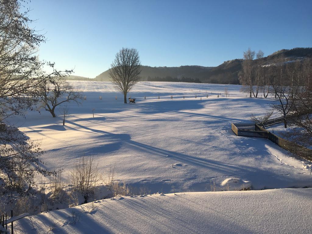 Vila Chalupa u Broumovských stěn Božanov Exteriér fotografie